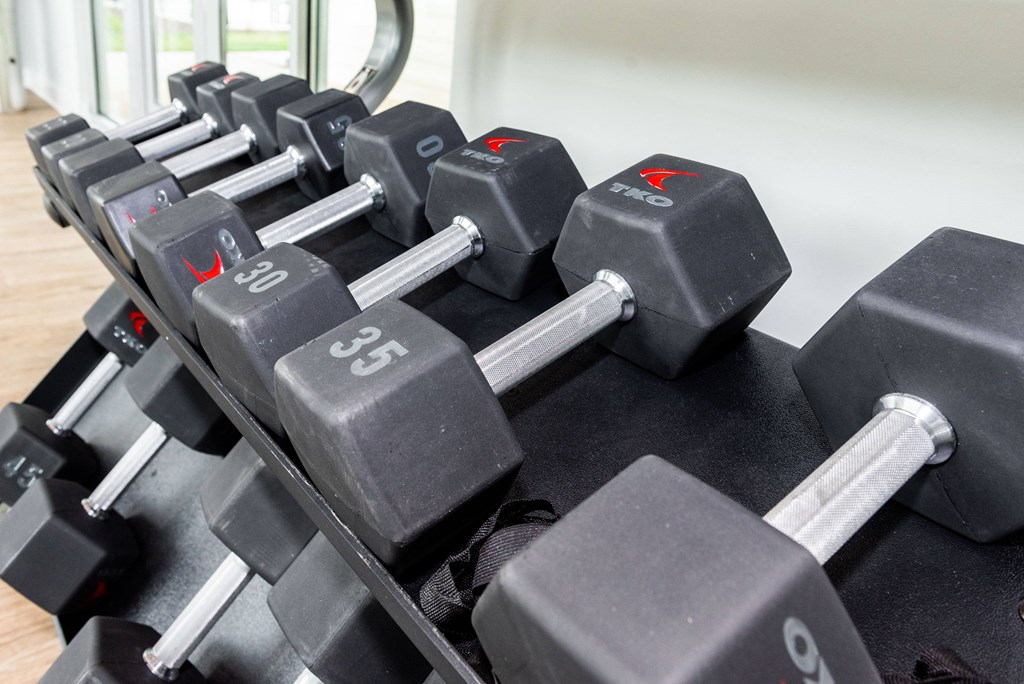 a large pile of dumbbells in a gym