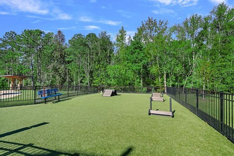 A dog park with a green yard and black fence surrounding.