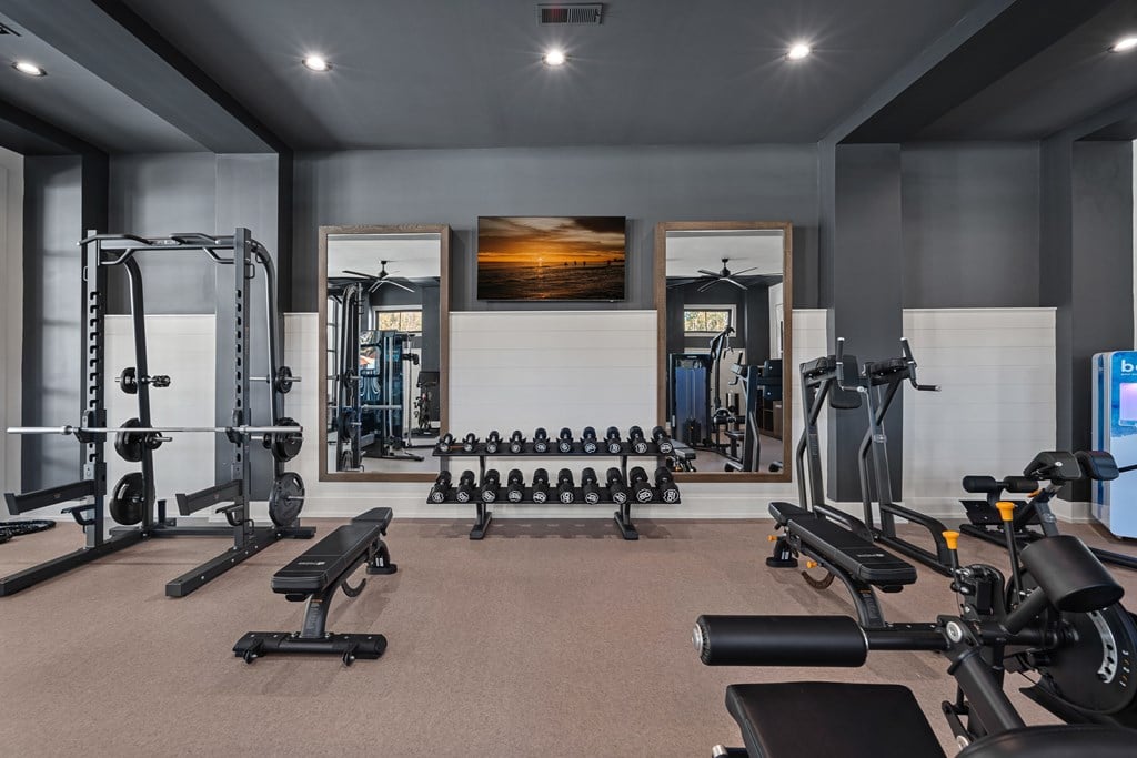 A well-equipped gym with free standing weights.