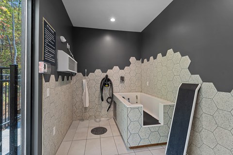 Pet washing station with water hose and tub.