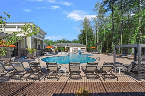 A pool surrounded by lounge chairs and umbrellas and trees in the background.
