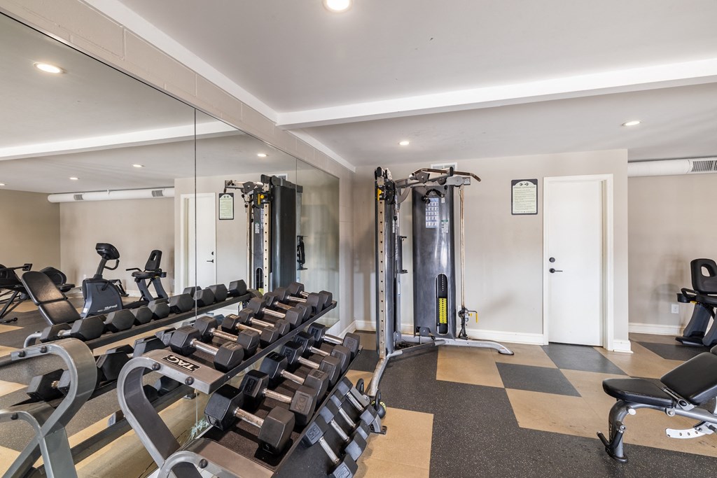 A well-equipped gym with treadmills, weights, and exercise machines.