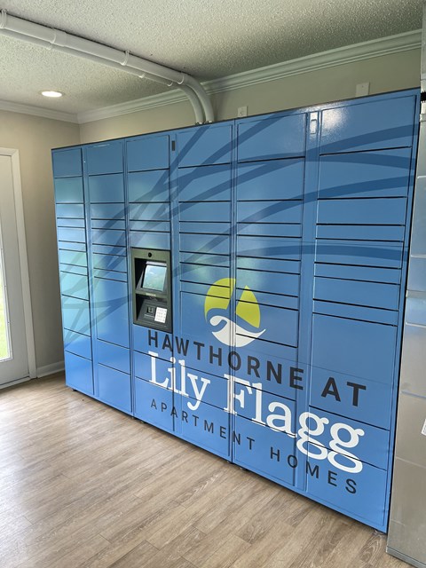 Amazon package locker