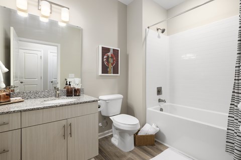 View of Bathroom with a White Toilet Next to a Bathtub.