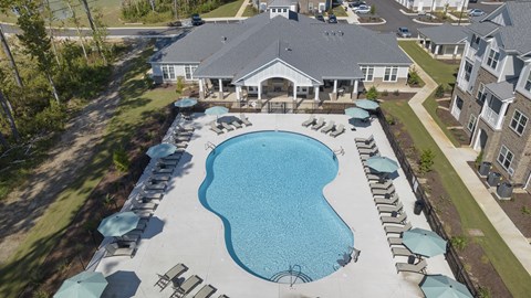 Aerial View of the Swimming Pool Surrounded by Lounge Chairs and Umbrellas.