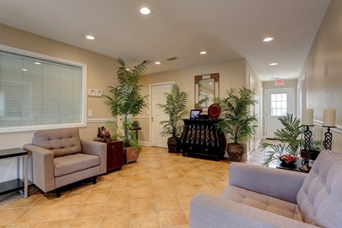 a living room filled with furniture and plants