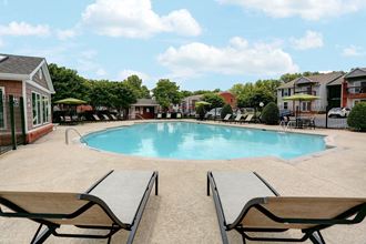sparkling swimming pool