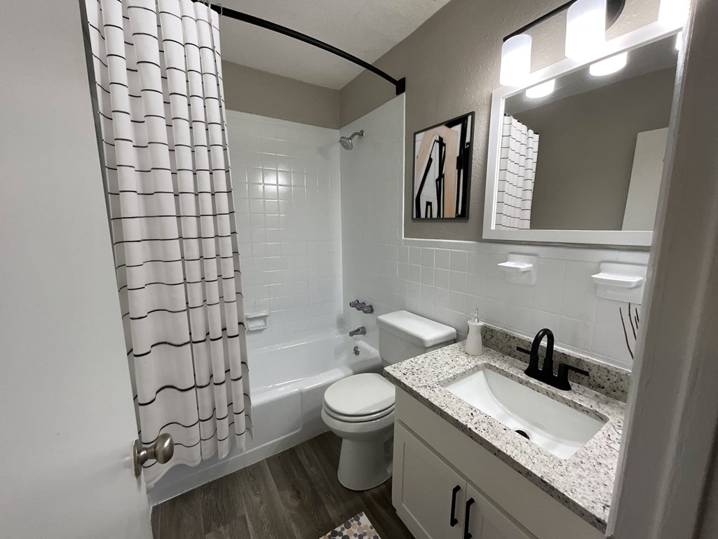 a bathroom with a sink and a toilet and a shower