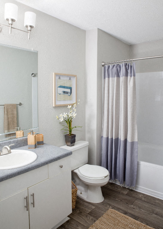 a bathroom with a toilet and a shower and a sink