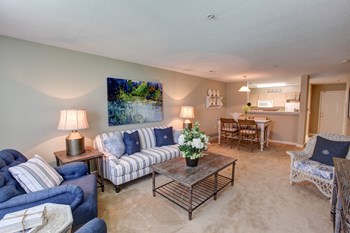 Living Room at Amelia Village in Clayton, NC - Photo Gallery 24