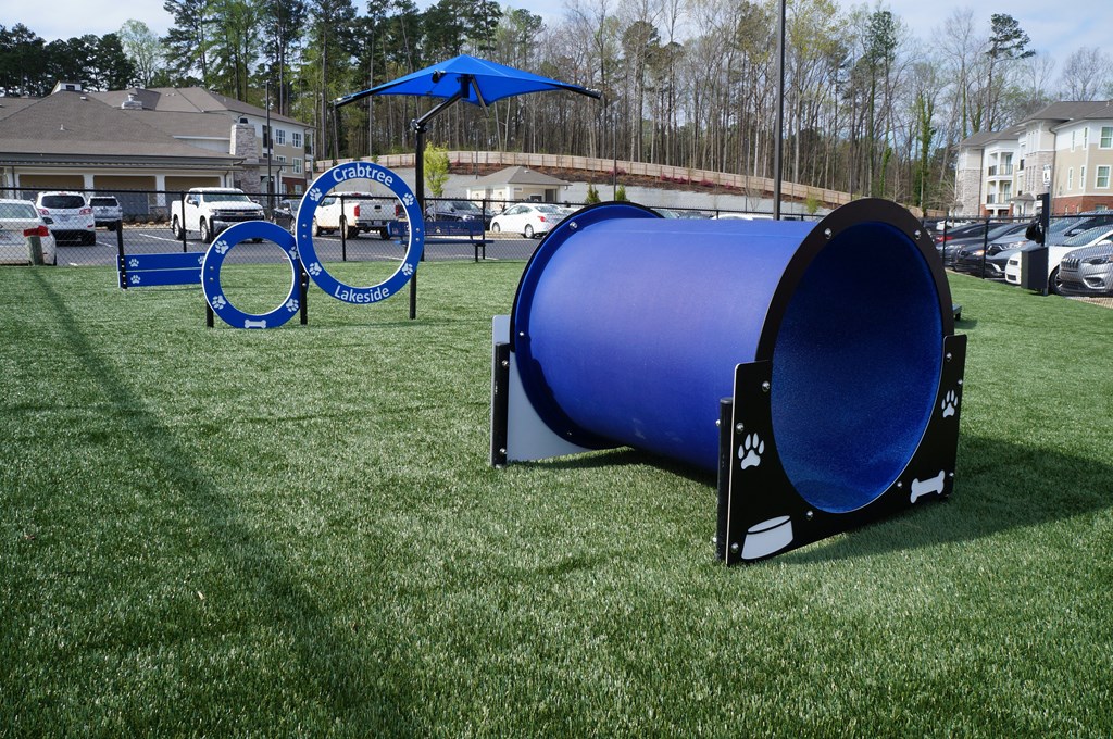 a group of blue portable toilets on the grass at a park