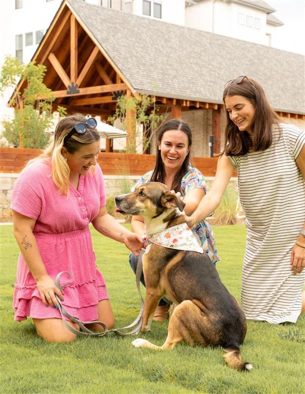 The Whitby Birmingham