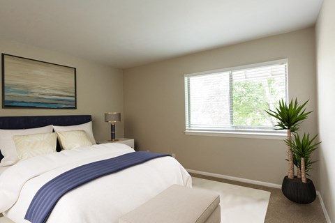 Bedroom Suite