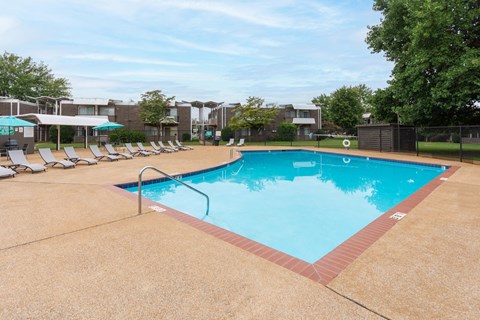 Pool and Pool Deck