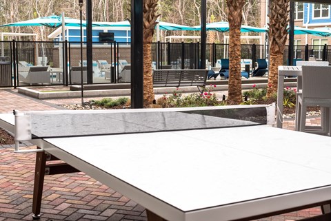 Amenity Courtyard at Hawthorne at Indy West in Wilmington, NC