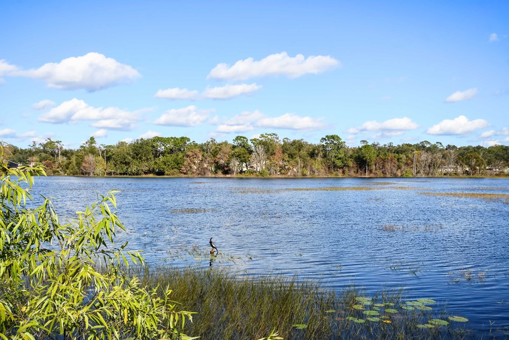 a view of a lake with trees in the background