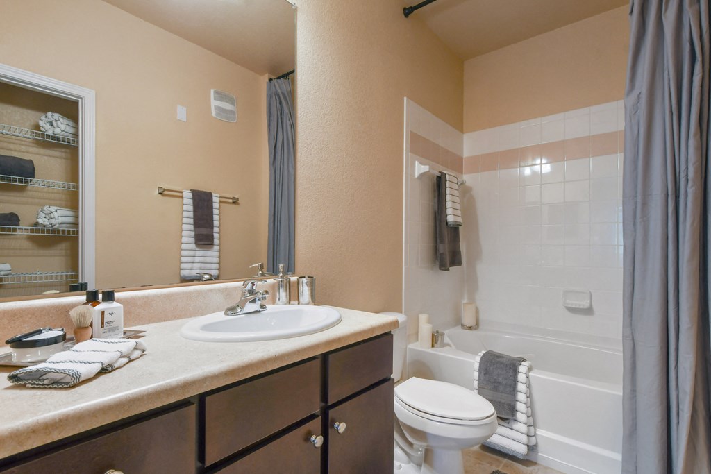 a bathroom with a sink and a toilet and a shower