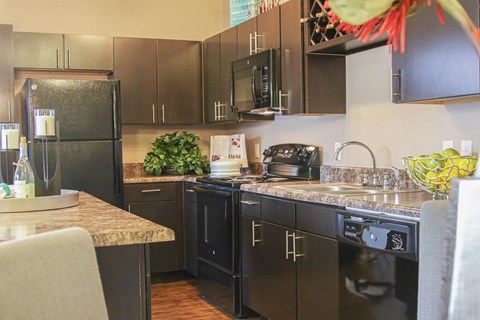 a kitchen with stainless steel appliances and black cabinets