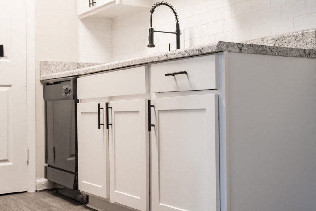 Kitchen cabinets dishwasher