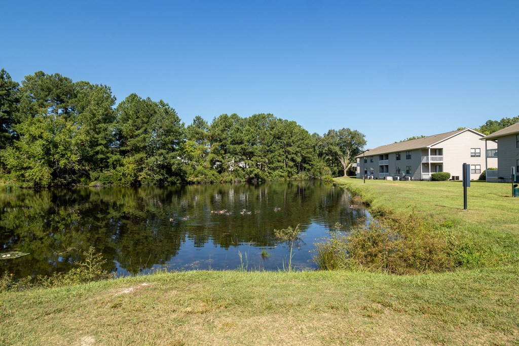a pond in front of a house with a building in the background