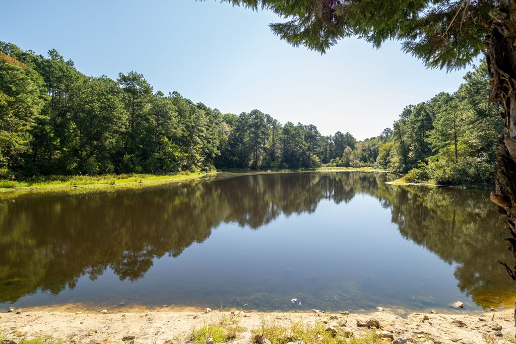 a small lake with trees on the other side of it
