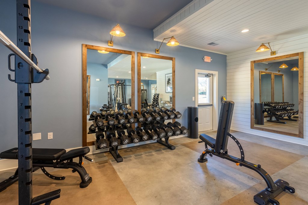 the gym in the owners home has plenty of equipment and mirrors