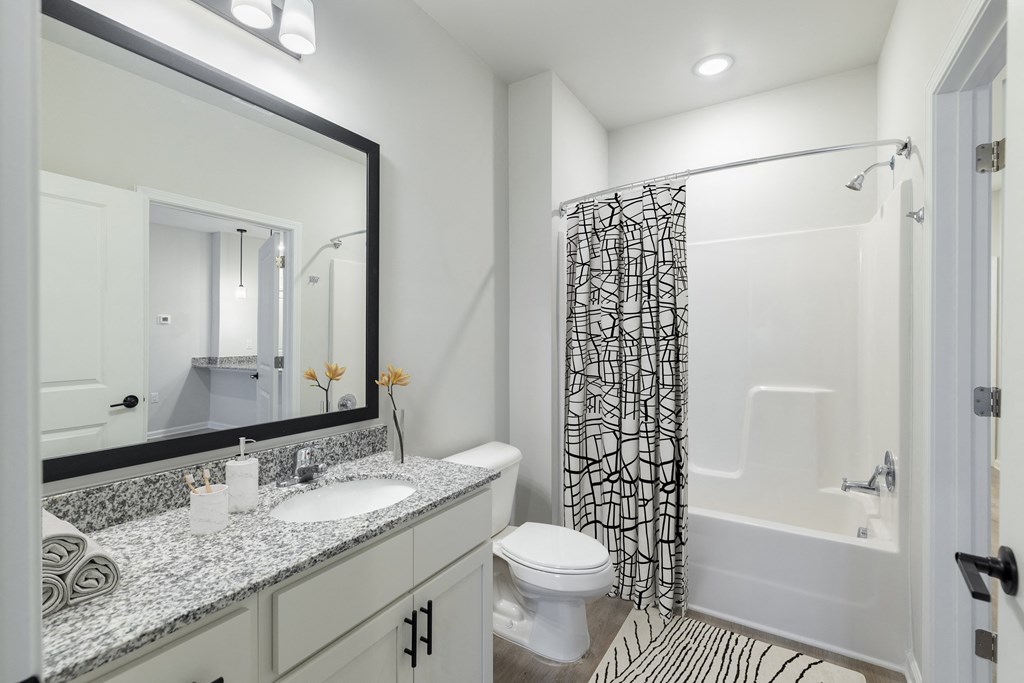 a bathroom with a shower toilet and sink and a mirror