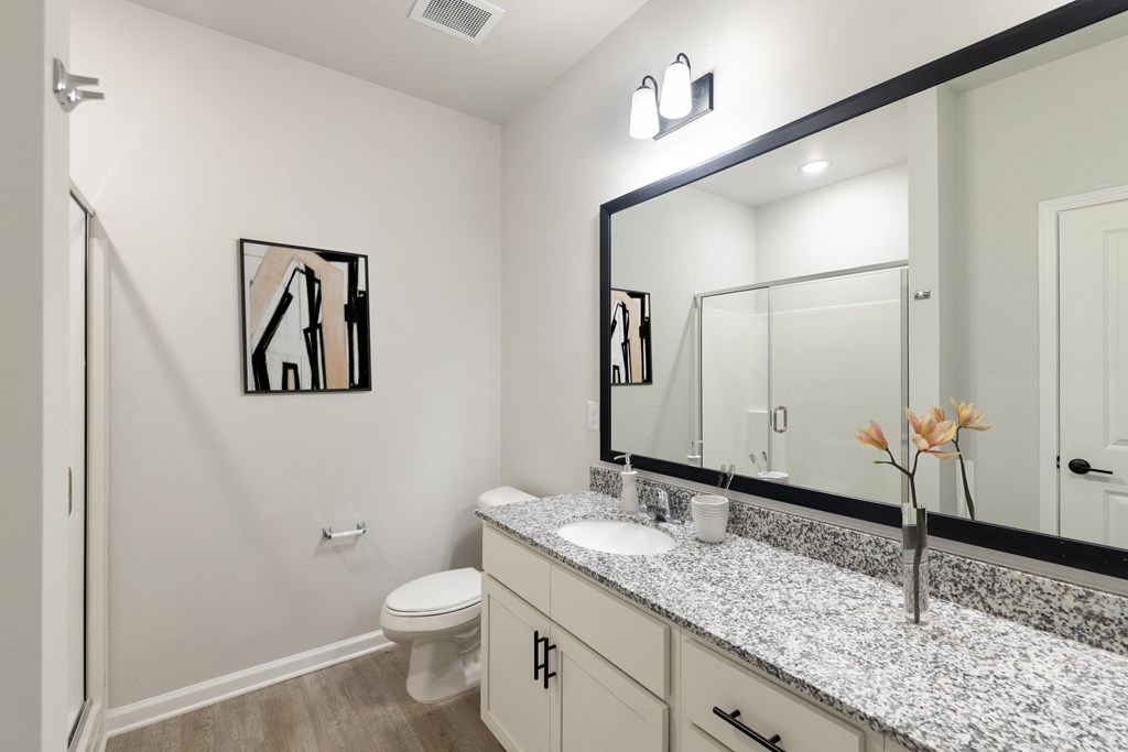 a bathroom with a large mirror and a sink and a toilet