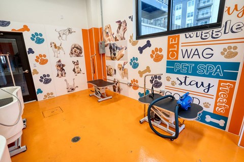 a pet spa room with a wheelchair in front of a wall covered in dog stickers