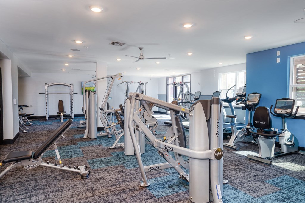 a gym with a lot of exercise equipment in it