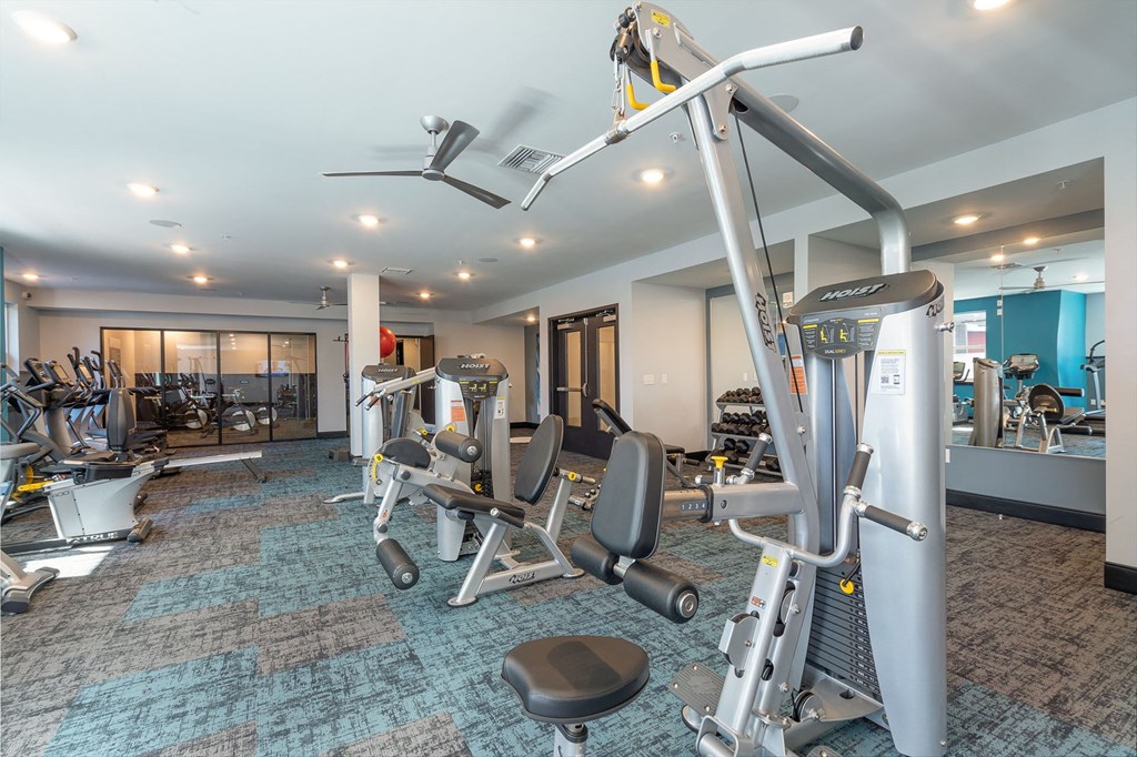 a gym with cardio machines and weights on a rug