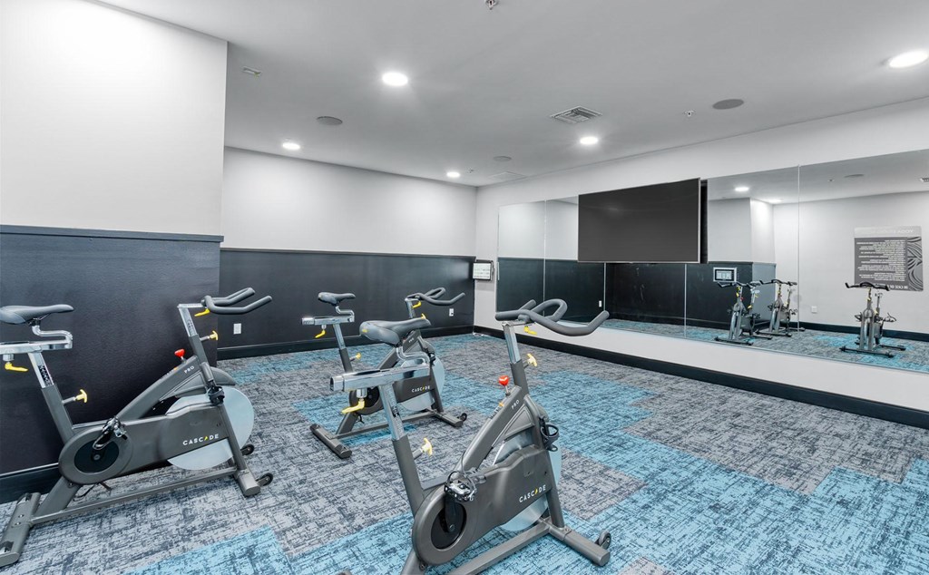 a gym with exercise bikes and weights in a room with a mirrored wall