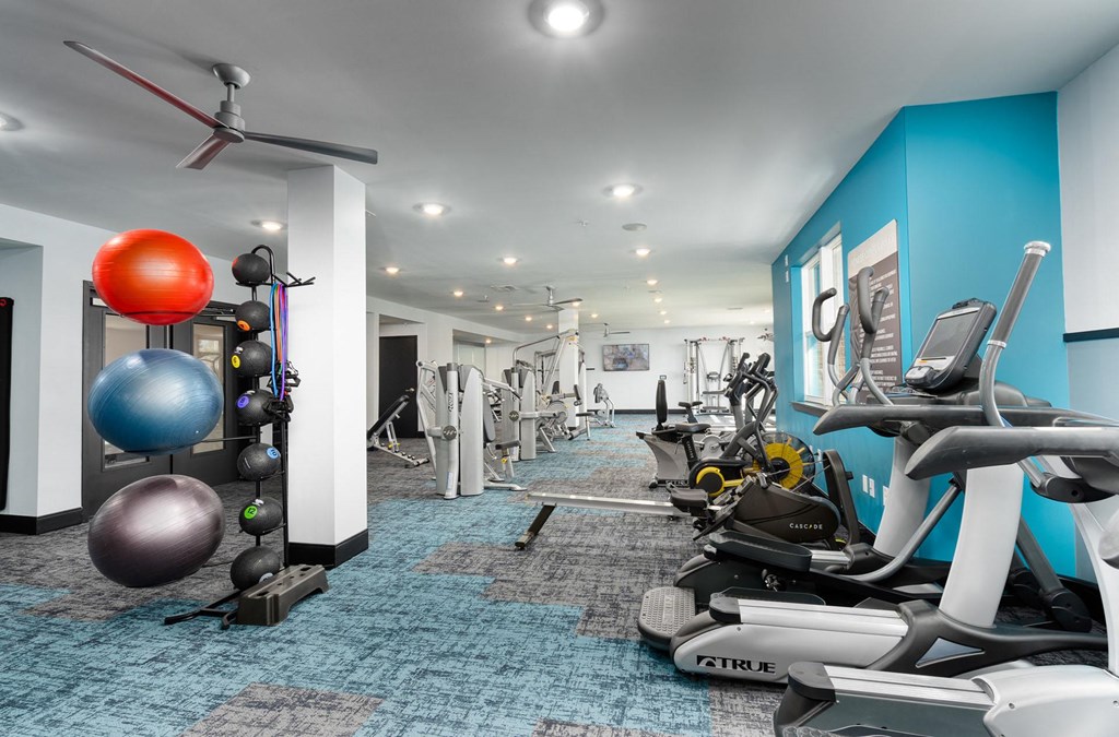 a gym with weights and cardio equipment in a room with blue walls
