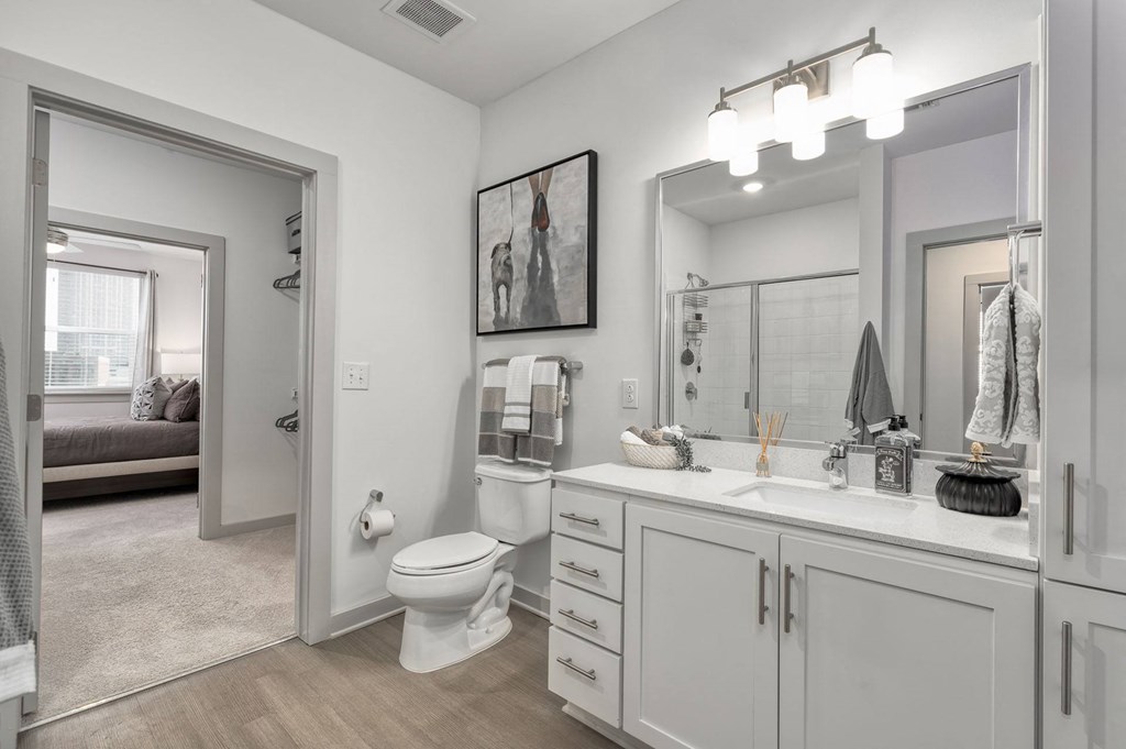 a bathroom with a mirror and a toilet and a sink