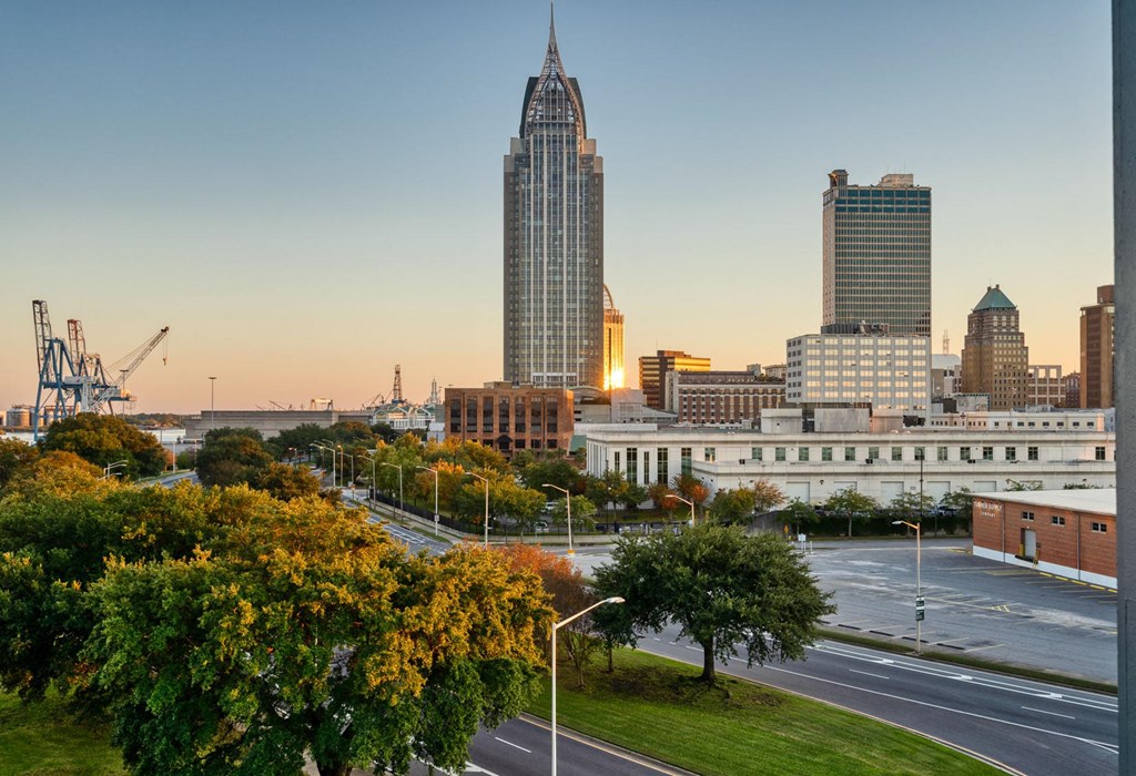 a view of the city skyline at sunset from a park