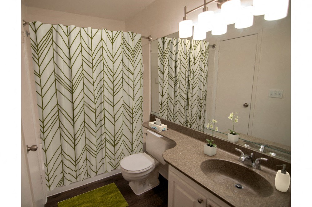a bathroom with a shower curtain and a sink and a toilet
