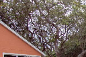 1018 Malabar Lakes Dr NE 1-2 Beds Apartment for Rent - Photo Gallery 5