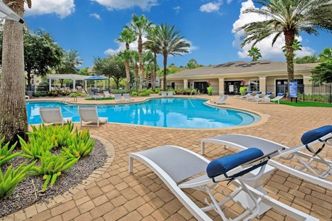 Outdoor pool surrounded by palm trees and lounge chairs.