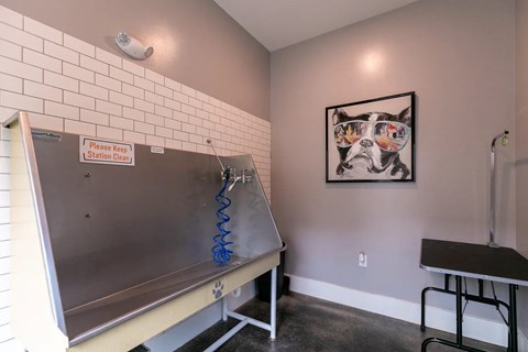 Dog washing station.