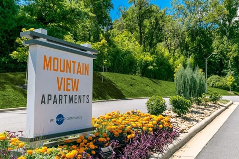 A sign for Mountain View Apartments is displayed in front of a green landscape.