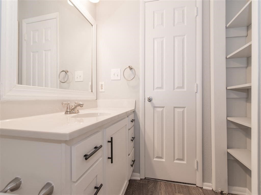 a bathroom with a sink and a mirror and a closet