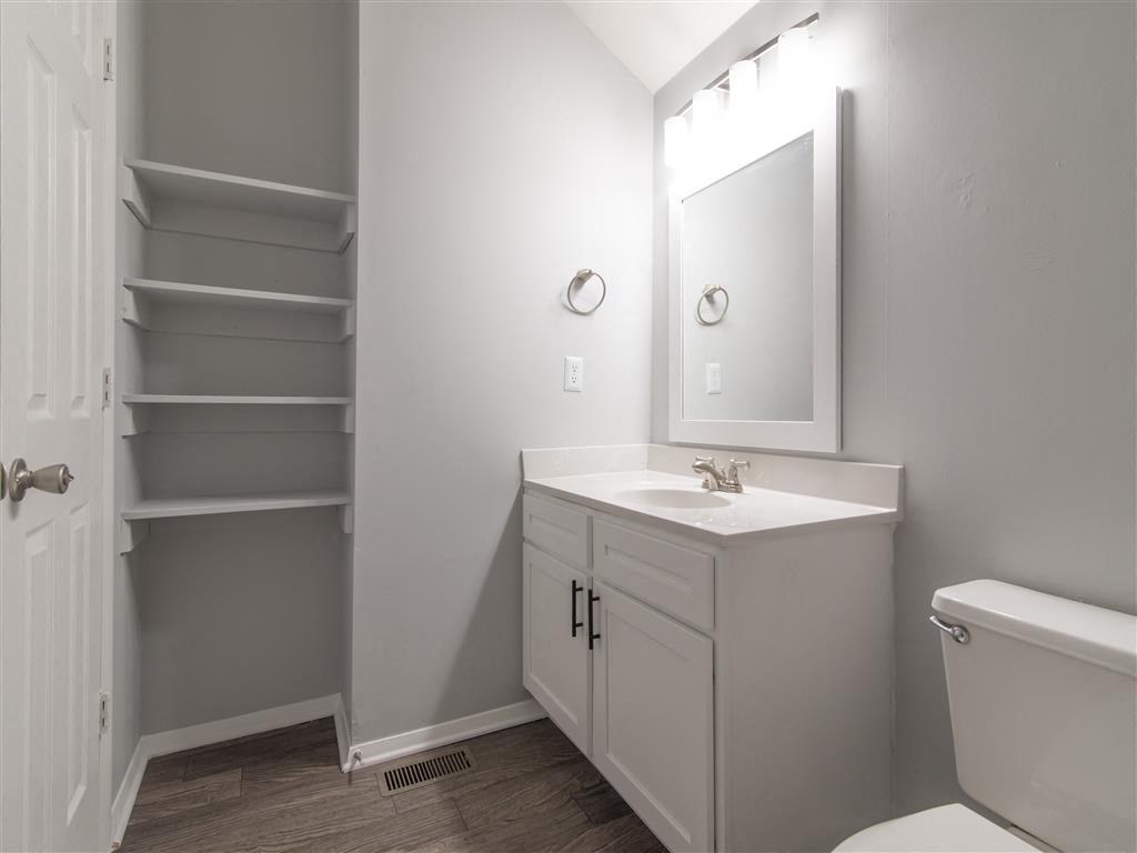 a bathroom with a sink and a mirror and a toilet