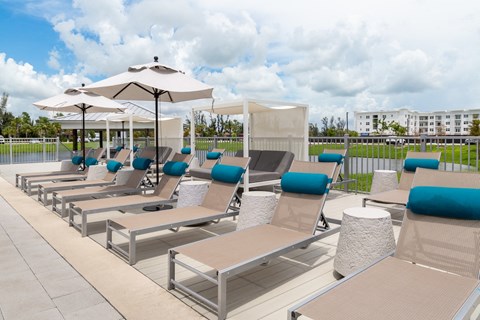 A row of sun loungers are arranged on a patio.