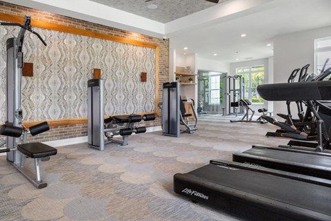 A gym with a variety of equipment including a treadmill, weights, and a bench press.