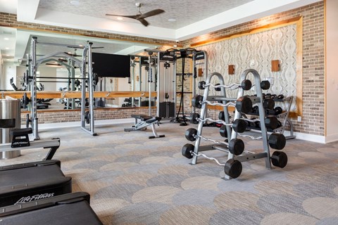 A gym with a variety of equipment including weights and a treadmill.