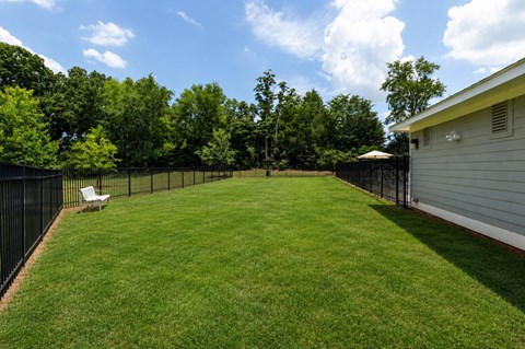 A backyard with a white chair and a green lawn.