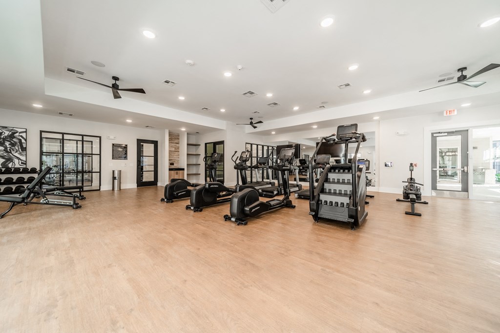 the gym is equipped with cardio equipment and weights