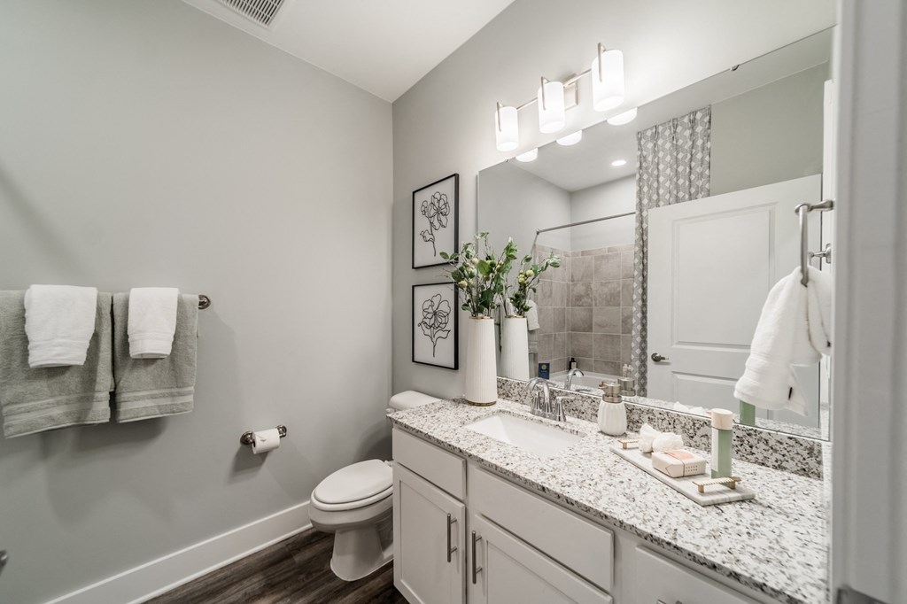 a bathroom with a sink and a toilet and a mirror