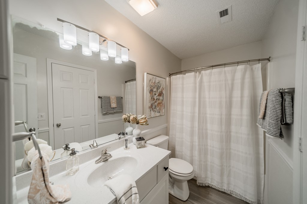 a bathroom with a sink and a toilet and a shower