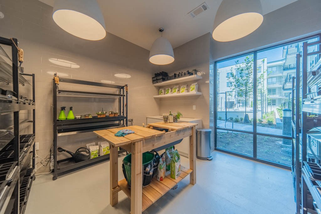 University Hill Apartments